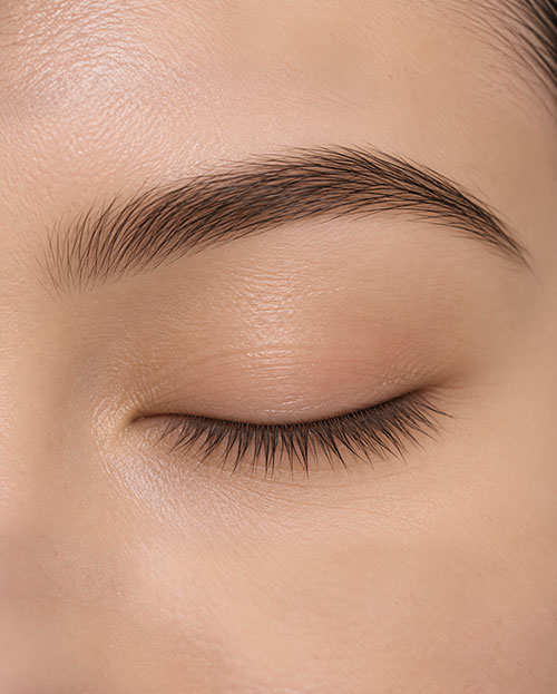 Brows Wax & Shape and Tint